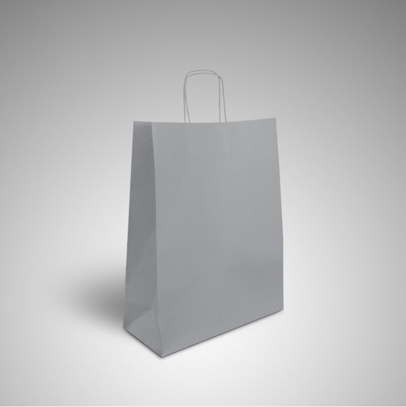 Bolsa asa retorcida plata